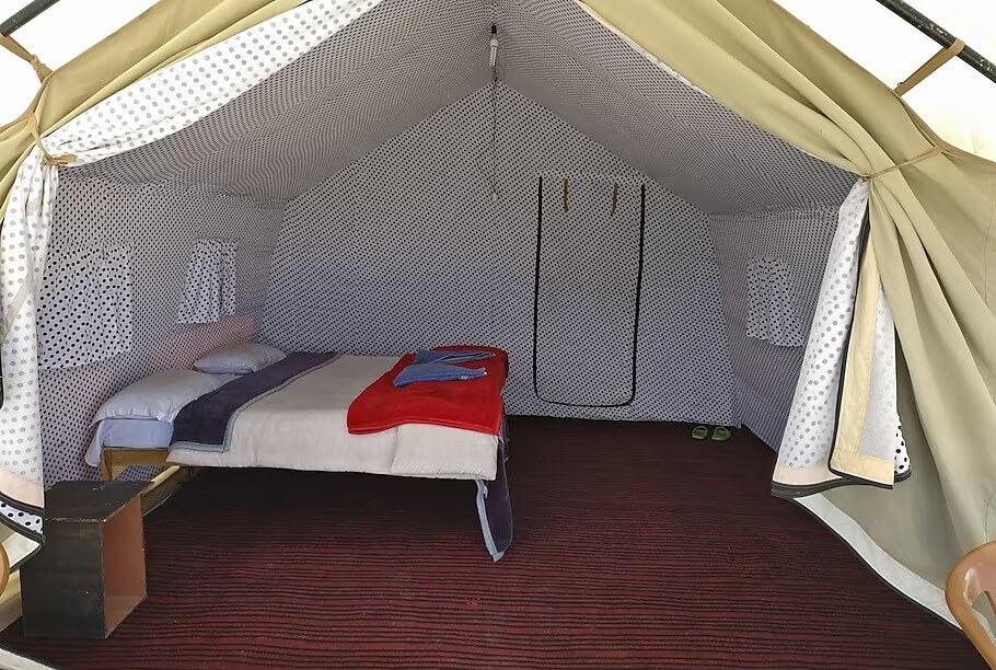 Wonderland Camp